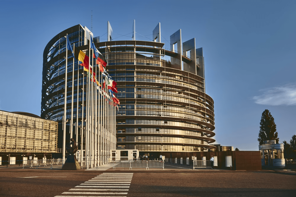Avocats en droit de l'Homme, CEDH